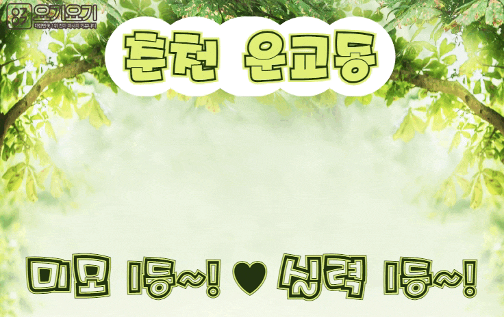 춘천 운교동 스웨디시 마사지 [ 오드리스웨디시 ]